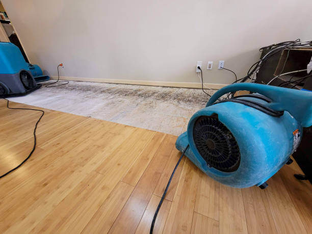 Professional Sewage Cleanup technician working in Parlin, NJ